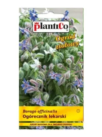 ogorecznik-lekarski-nasiona-zapyla-ogrod-dynie-pomidory-2g