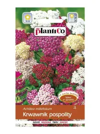 krwawnik-pospolity-mix-przeciwzapalny-nasiona-03g