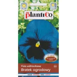 bratek-fioletowo-niebieski-z-plama-nasiona-plantico-05g