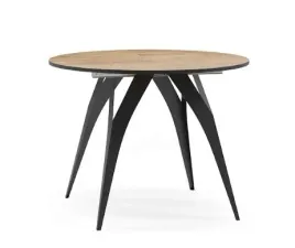 stol-okragly-rozkladany-owalny-120-220-cm-x-120-amaya-na-nogach-pajak