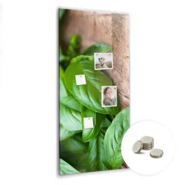 tablica-magnetyczna-suchoscieralna-magnesy-gratis-60x120-cm-liscie-bazylii