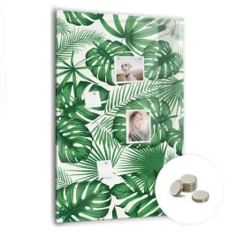 magnetyczny-planer-tablica-suchoscieralna-70x100-cm-liscie-monstery-roslina