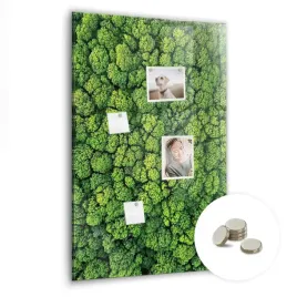 tablica-magnetyczna-organizer-planer-lista-zadan-60x90-cm-las-drzewa-natura