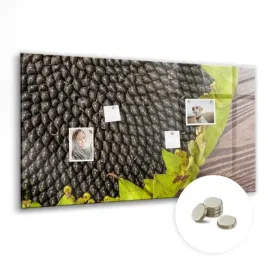 suchoscieralna-tablica-magnetyczna-z-magnesami-wymiar-120x60-cm-slonecznik