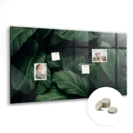 tablica-magnetyczna-do-szkoly-do-nauki-wymiar-120x60-cm-tropikalna-monstera