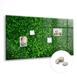 tablica-magnetyczna-suchoscieralna-magnesy-gratis-120x60-cm-zywoplot-liscie