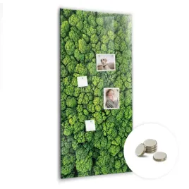 tablica-magnetyczna-do-pisania-markerem-wymiar-60x120-cm-las-drzewa-natura