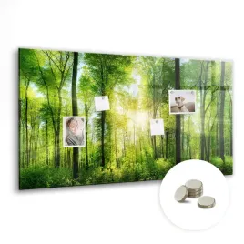 kreatywna-tablica-magnetyczna-magnesy-wymiar-120x60-cm-natura-las-drzewa