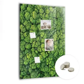 kreatywna-tablica-magnetyczna-magnesy-gratis-70x100-cm-las-drzewa-natura