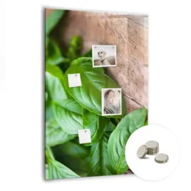 magnetyczny-planer-tablica-suchoscieralna-pionowa-70x100-cm-liscie-bazylii
