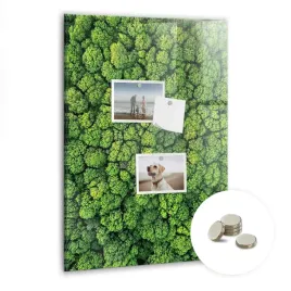 kreatywna-tablica-magnetyczna-magnesy-pionowa-40x60-cm-las-drzewa-natura