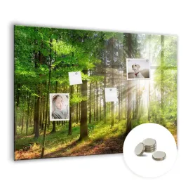 kreatywna-tablica-magnetyczna-magnesy-wymiar-100x70-cm-las-wschod-slonca