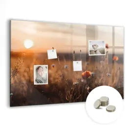 suchoscieralna-tablica-magnetyczna-z-magnesami-90x60-cm-pole-wschod-slonca