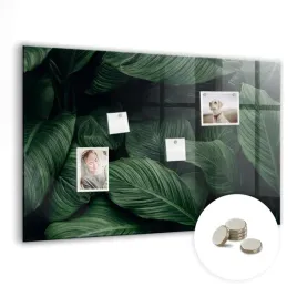 suchoscieralna-tablica-magnetyczna-z-magnesami-90x60-cm-tropikalna-monstera