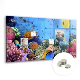 tablica-magnetyczna-suchoscieralna-magnesy-gratis-120x60-cm-podwodne-zycie