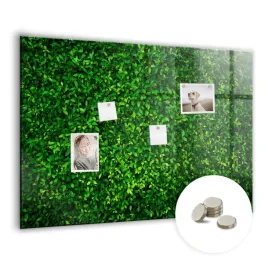 magnetyczny-planer-tablica-suchoscieralna-wymiar-100x70-cm-zywoplot-liscie