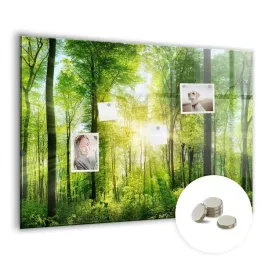suchoscieralna-tablica-magnetyczna-z-magnesami-100x70-cm-natura-las-drzewa