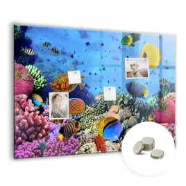 magnetyczny-planer-tablica-suchoscieralna-wymiar-100x70-cm-podwodne-zycie