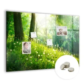tablica-magnetyczna-suchoscieralna-magnesy-gratis-100x70-cm-natura-wiosenna