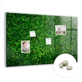 magnetyczny-planer-tablica-suchoscieralna-wymiar-90x60-cm-zywoplot-liscie
