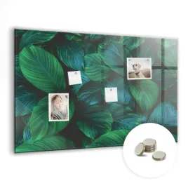 tablica-magnetyczna-suchoscieralna-magnesy-gratis-90x60-cm-przyroda-liscie