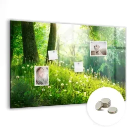 tablica-magnetyczna-suchoscieralna-magnesy-gratis-90x60-cm-natura-wiosenna