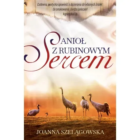 aniol-z-rubinowym-sercem