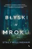 blyski-w-mroku