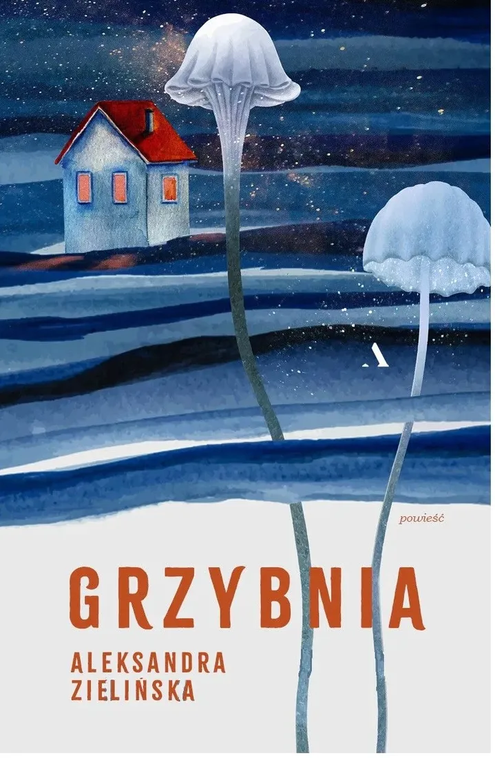 grzybnia