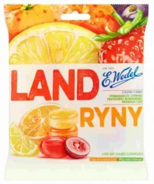 wedel-landryny-owocowe-90g
