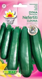 cukinia-nefertiti-zielona-nasiona-cukinii-3g-toraf