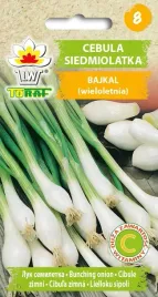 cebula-siedmiolatka-bajkal-szczypiorek-nasiona