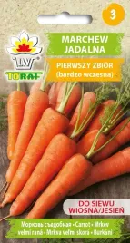 marchew-pierwszy-zbior-najwczesniejsza-nasiona