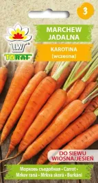 marchew-karotina-wczesna-nasiona-marchwi-karotka