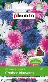 chaber-blawartek-zapyla-ogrod-1g-plantico
