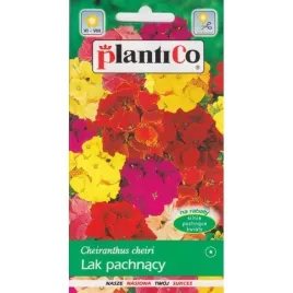 lak-pospolity-zapyla-ogrod-1g-plantico