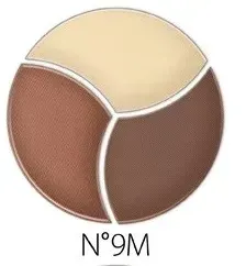 revers-cienie-matowe-do-powiek-lavien-trio-nr-9m