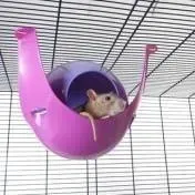 sputnik-xl-hamak-kolor-fuksja-fiolet