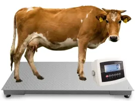 waga-platformowa-do-bydla-krow-swin-1x2m-3000kg