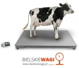 waga-inwentarzowa-do-bydla-krow-byka-swin-1x2m-5t-kod-producenta-bydl100x200lp75165trol