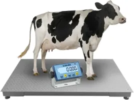 waga-do-wazenia-bydla-12x2m-3t-legalizacja-2025