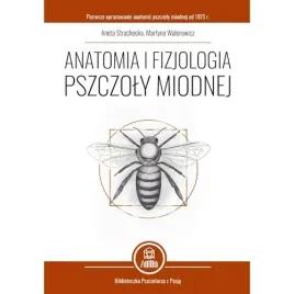 anatomia-i-fizjologia-pszczoly-miodnej