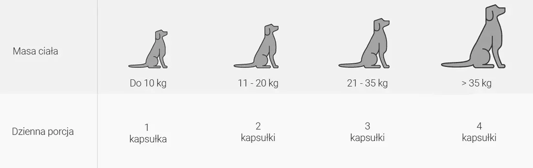 vebiot-digestexan-60-tabletek-wsparcie-trzustki