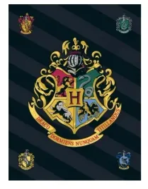 koc-kocyk-polarowy-harry-potter-100x140cm-pled-bla