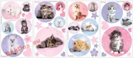naklejki-z-kotkami-koty-kotki-kociaki-cats-zestaw