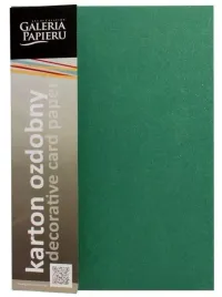 karton-ozdobny-mika-zielony-20szt-240g-202714-galeria-papieru