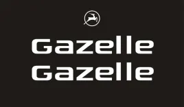 gazelle-naklejki-na-rower-miejski-damka