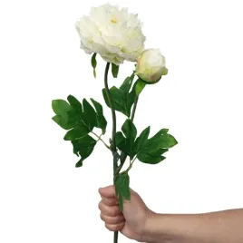 piwonia-peonia-biala-60-cm-galazka-z-liscmi-premium-jak-zywa