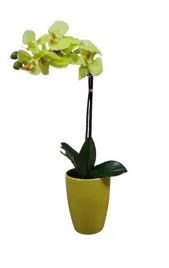 storczyk-42-cm-zielony-sztuczny-w-doniczce-ceramicznej-seria-premium