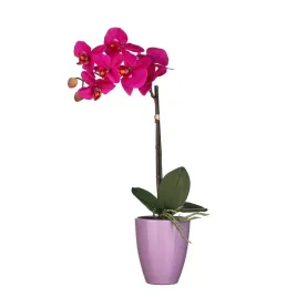 storczyk-42-cm-fioletowy-sztuczny-w-doniczce-ceramicznej-seria-premium